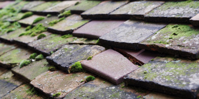 Cefneithin roof repair costs